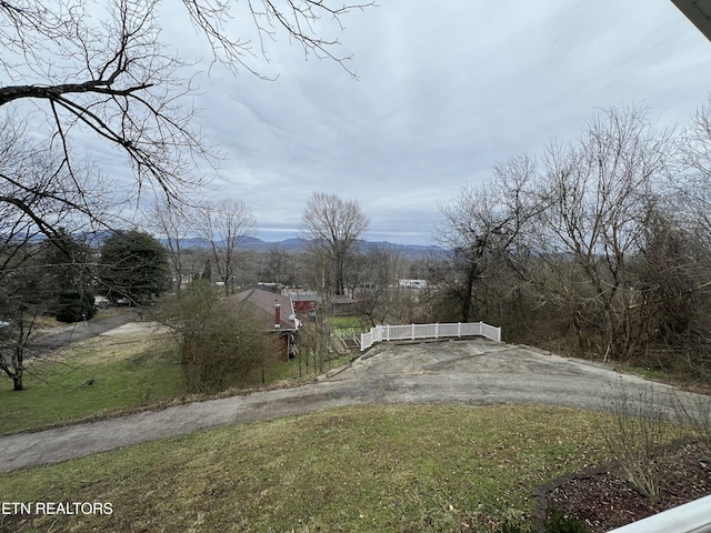 view of yard featuring a mountain view