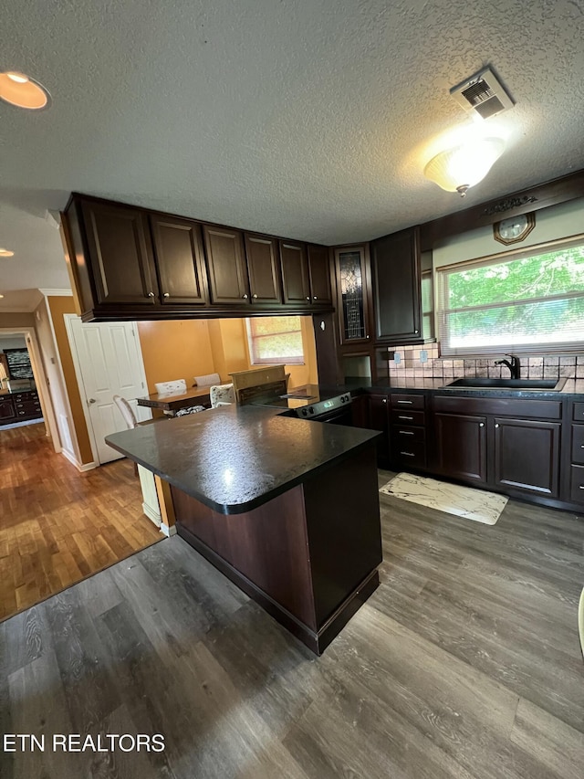 111 Old Evacuation Ln, Oliver Springs, TN 37840 - kitchen with dark countertops, a sink, dark wood-type flooring, a textured ceiling, and dark brown cabinetry