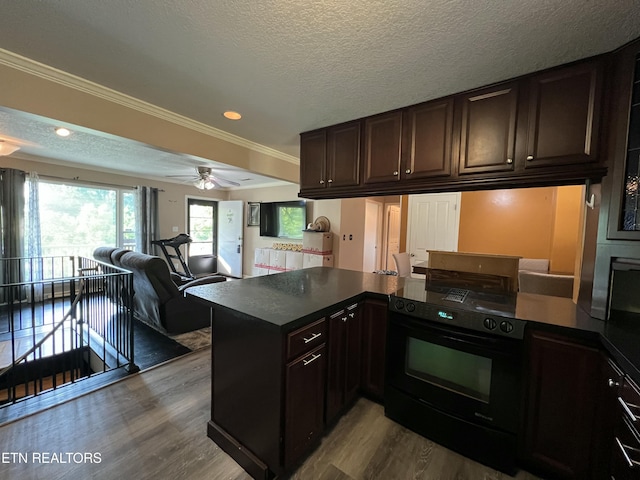 111 Old Evacuation Ln, Oliver Springs, TN 37840 - kitchen with black range, dark wood-style flooring, dark countertops, crown molding, and dark brown cabinetry