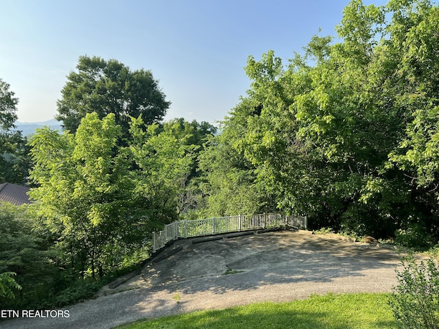 111 Old Evacuation Ln, Oliver Springs, TN 37840 - view of yard with a view of trees