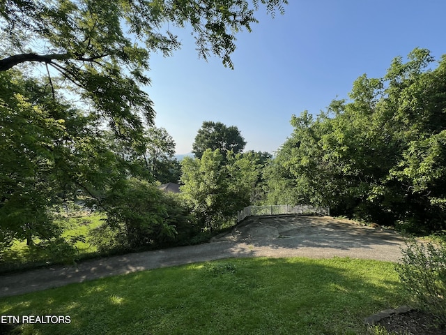 111 Old Evacuation Ln, Oliver Springs, TN 37840 - view of grassy yard