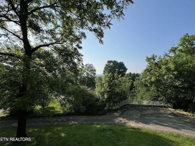 111 Old Evacuation Ln, Oliver Springs, TN 37840 - view of street