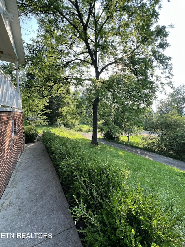 111 Old Evacuation Ln, Oliver Springs, TN 37840 - view of yard
