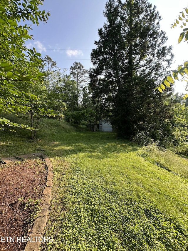 111 Old Evacuation Ln, Oliver Springs, TN 37840 - view of green lawn