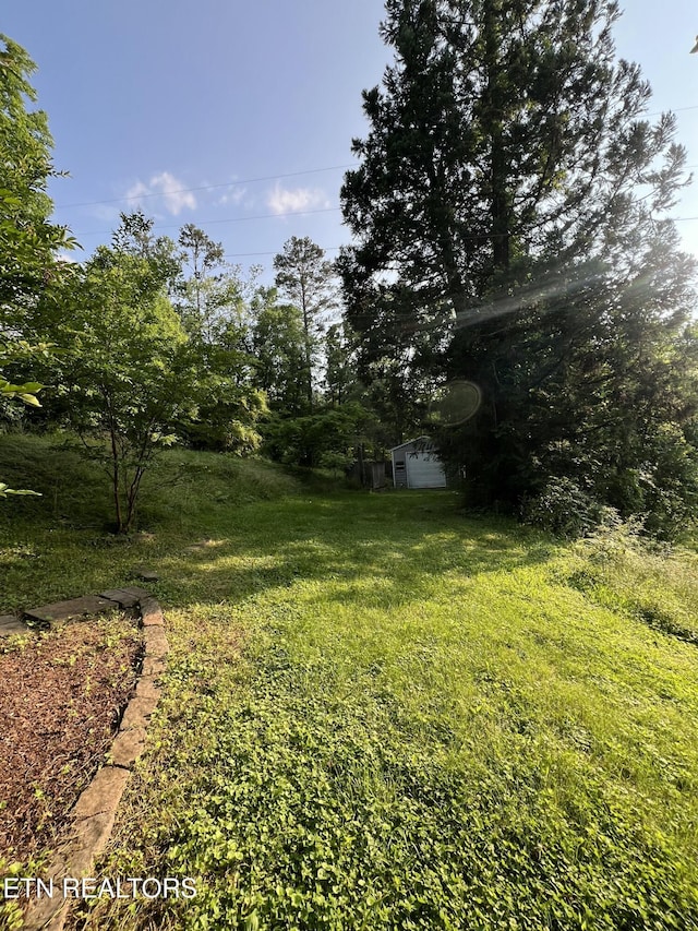 111 Old Evacuation Ln, Oliver Springs, TN 37840 - view of grassy yard