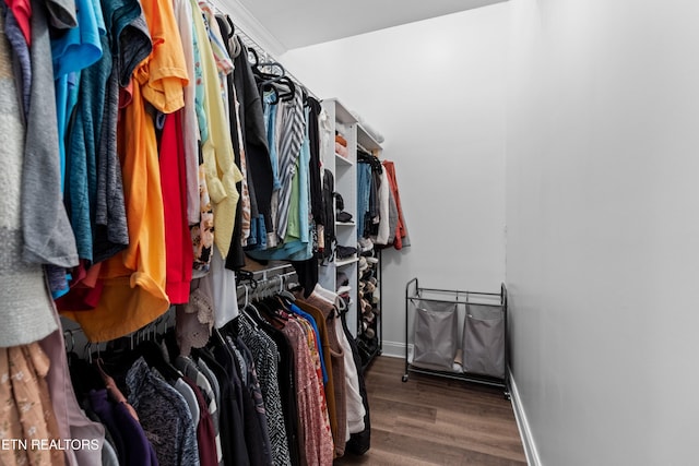 spacious closet featuring hardwood / wood-style flooring