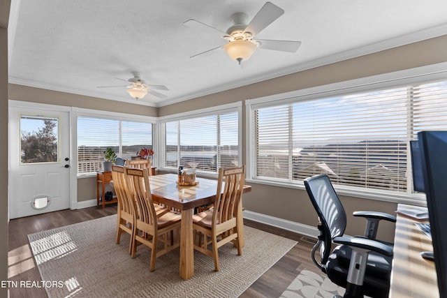 dining room featuring crown molding, ceiling fan, and dark hardwood / wood-style flooring