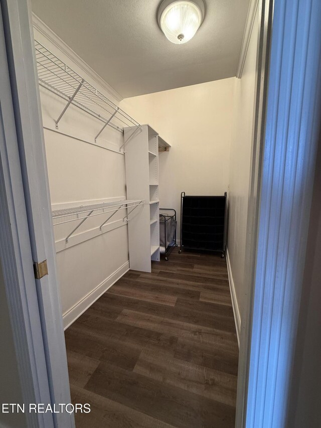 1241 Bennington Way, Dandridge, TN 37725 - spacious closet with dark wood-style flooring