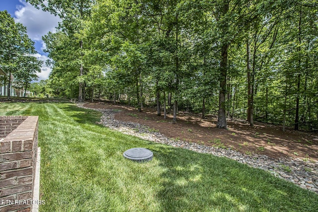 view of grassy yard