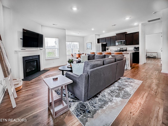 living room with hardwood / wood-style flooring