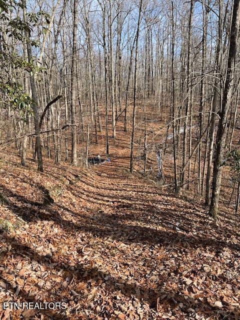 Pinney Pl, Monterey TN, 38574 land for sale