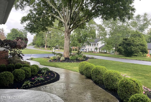 view of community featuring a lawn