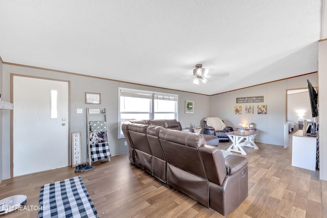 living room with ceiling fan, ornamental molding, light hardwood / wood-style floors, and a textured ceiling