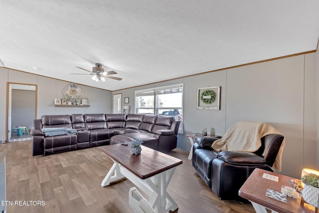 living room with ornamental molding, a textured ceiling, and light hardwood / wood-style flooring