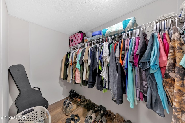 walk in closet with wood-type flooring