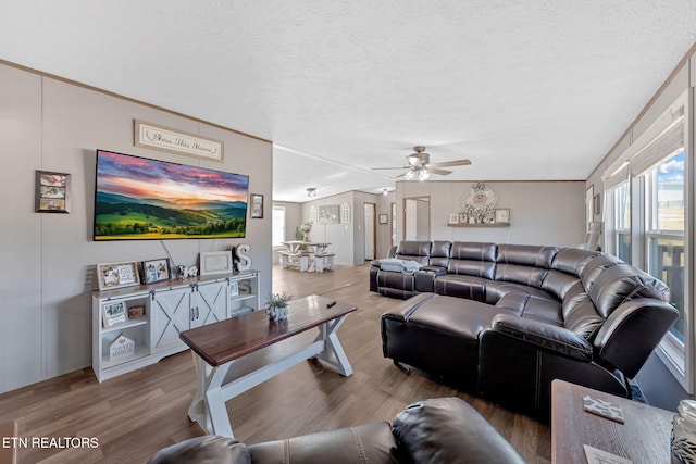 living room featuring hardwood / wood-style floors, vaulted ceiling, and a textured ceiling