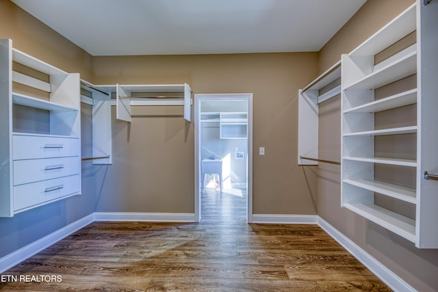 spacious closet featuring dark wood-type flooring