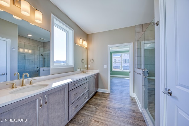 bathroom featuring vanity, a wealth of natural light, and an enclosed shower