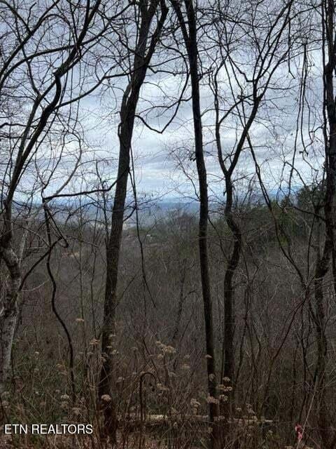 Lot3 Overholt Tr, Sevierville TN, 37862 land for sale