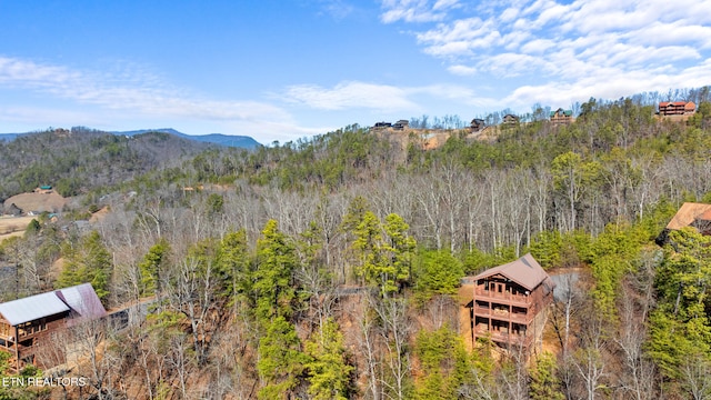 birds eye view of property featuring a mountain view