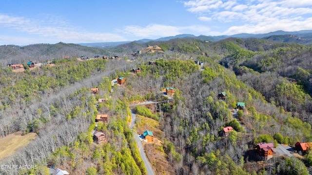 bird's eye view with a mountain view