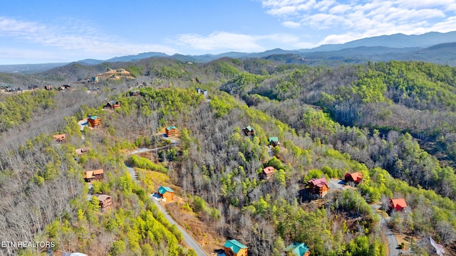 birds eye view of property featuring a mountain view