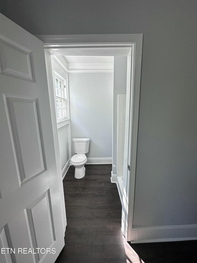 bathroom with hardwood / wood-style floors and toilet