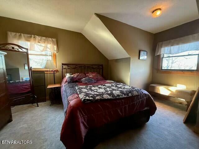 bedroom with lofted ceiling and carpet floors