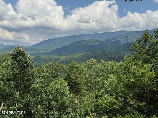 440 Deer Path Ln, Gatlinburg, TN 37738 - photo 5