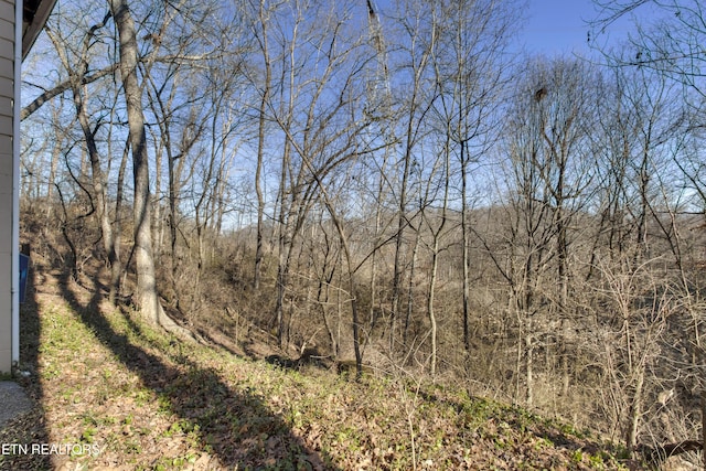 view of local wilderness