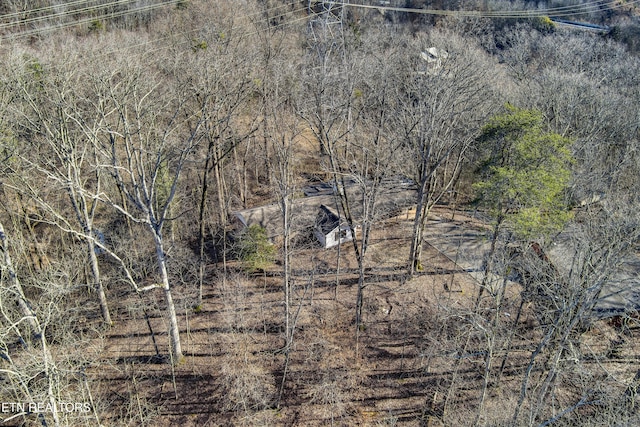 view of local wilderness