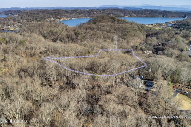 aerial view with a water and mountain view