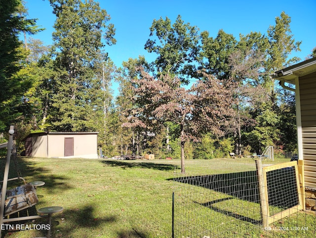 view of yard featuring a storage shed