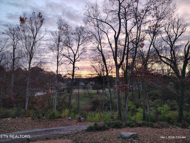 view of yard at dusk