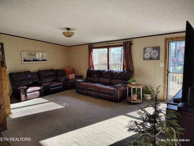 carpeted living room featuring ornamental molding, lofted ceiling, and a textured ceiling