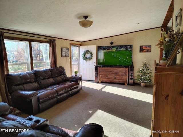 living room with carpet floors, crown molding, vaulted ceiling, and a textured ceiling