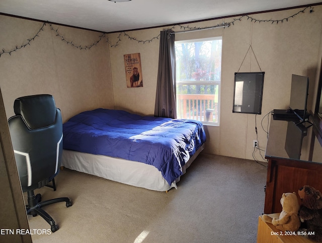 bedroom featuring carpet