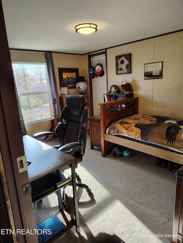 bedroom featuring crown molding and carpet