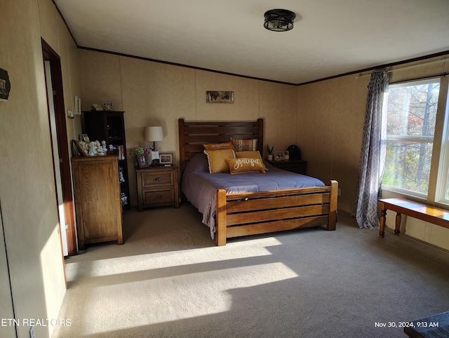 carpeted bedroom with crown molding