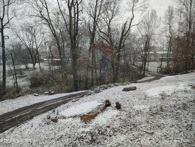 view of yard layered in snow