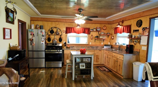 kitchen featuring a healthy amount of sunlight, stainless steel appliances, dark hardwood / wood-style flooring, and sink