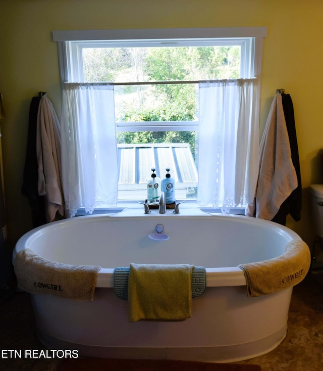 bathroom featuring a washtub