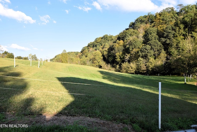 view of community with a rural view and a lawn