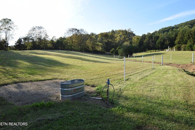 view of yard with a rural view