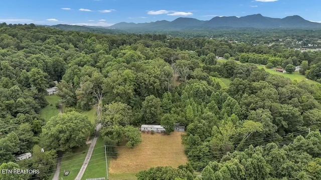 birds eye view of property with a mountain view