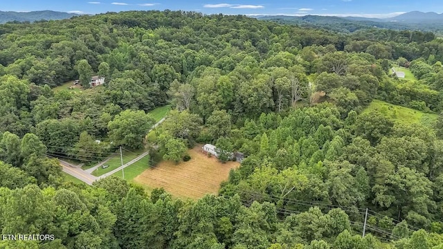 birds eye view of property featuring a mountain view