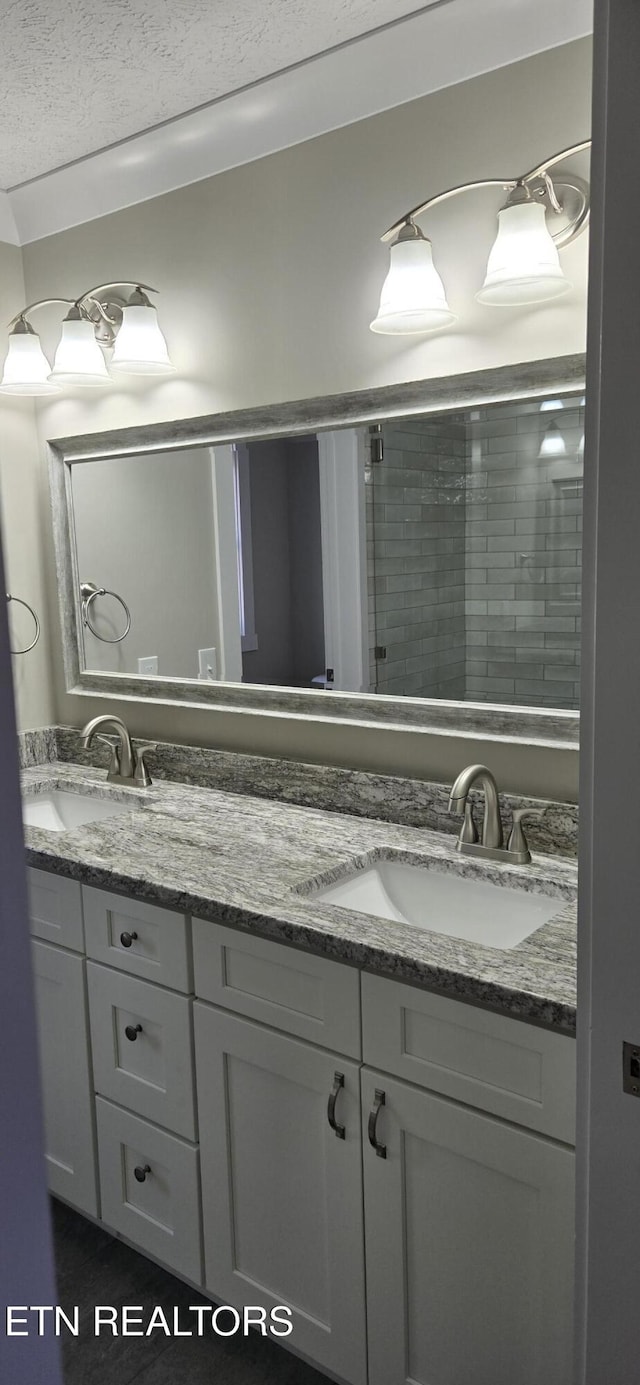 bathroom featuring walk in shower and vanity