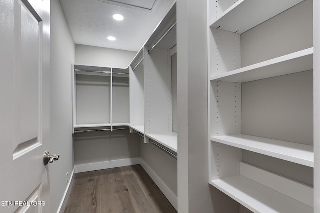 spacious closet featuring wood-type flooring