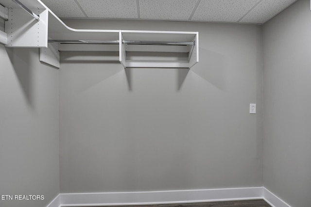 spacious closet featuring a drop ceiling