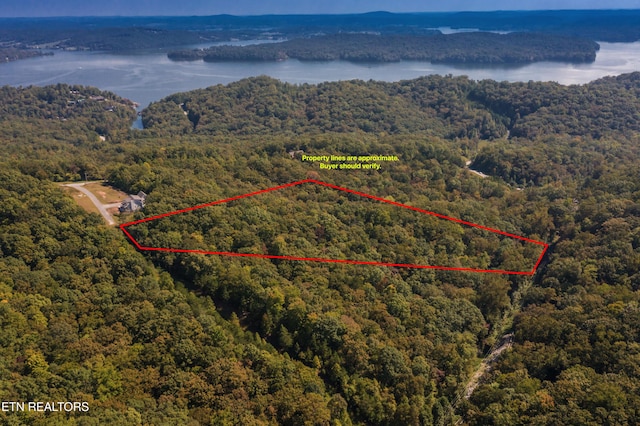 0 Winton Chapel Rd, Rockwood TN, 37854 land for sale